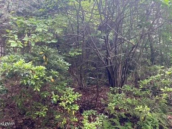 9 Sky Hawk Trl, Scotrun, PA 18355