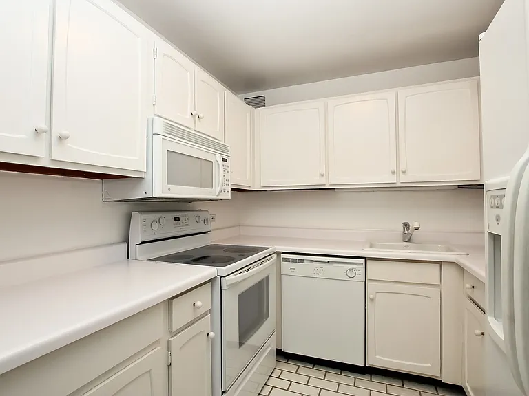 777 N Michigan Ave #1509 — Photo 3