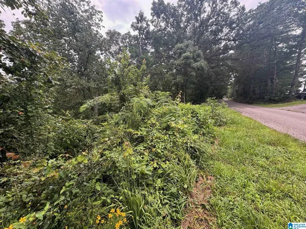 0 Levine Rd #0, Odenville, AL 35120