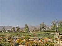 1st image of 81785 Golden Star Way