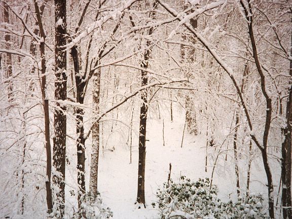 Stunning scenary in every season.