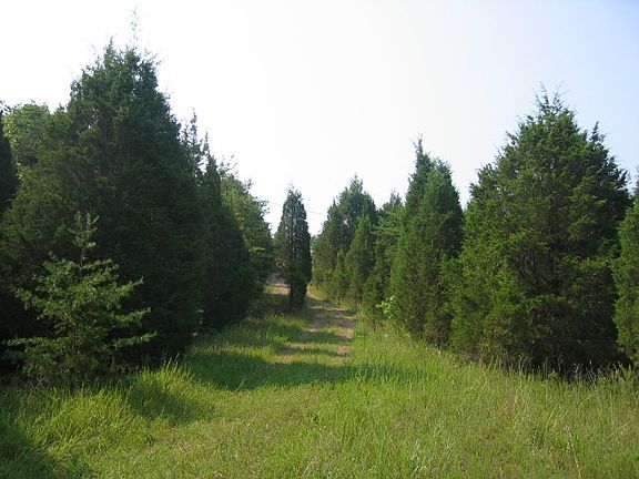 Main Entrance of BH Rd.