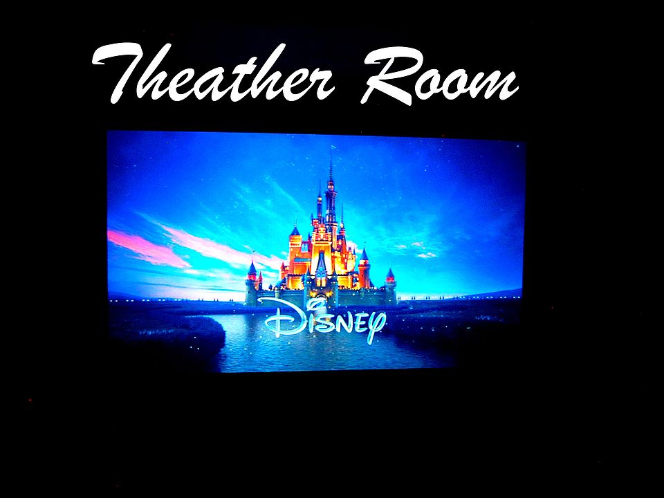 Theather Room 