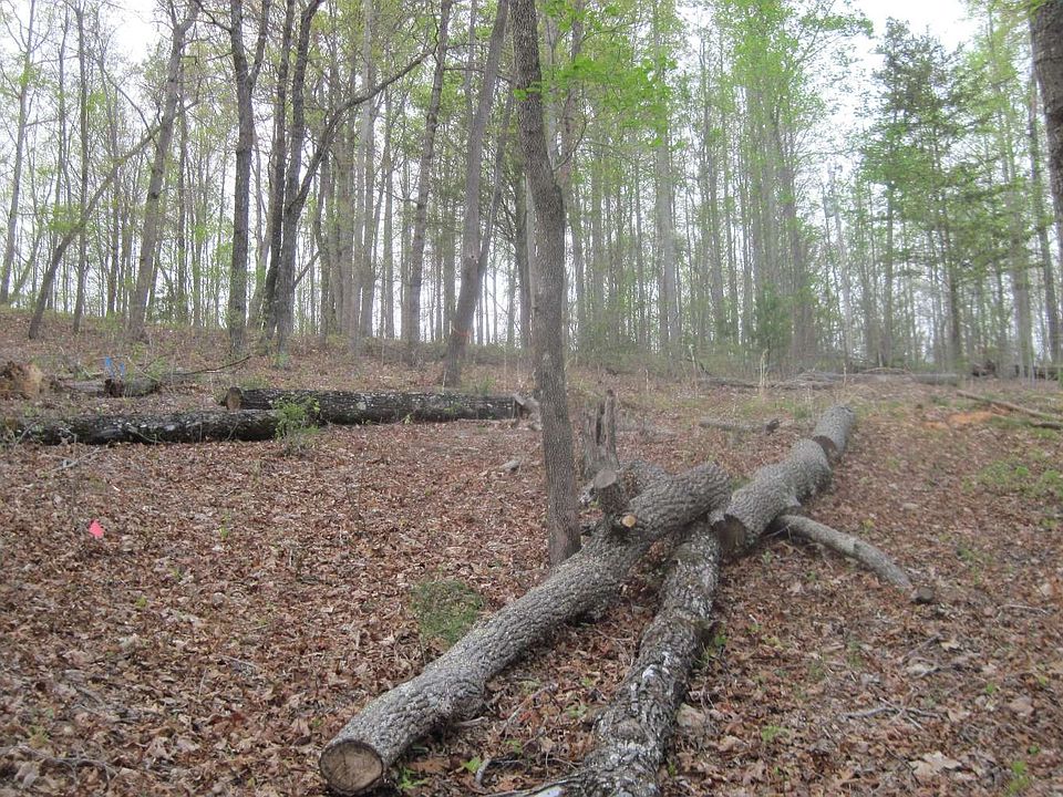 2nd image of LT 19 Poplar Rdg