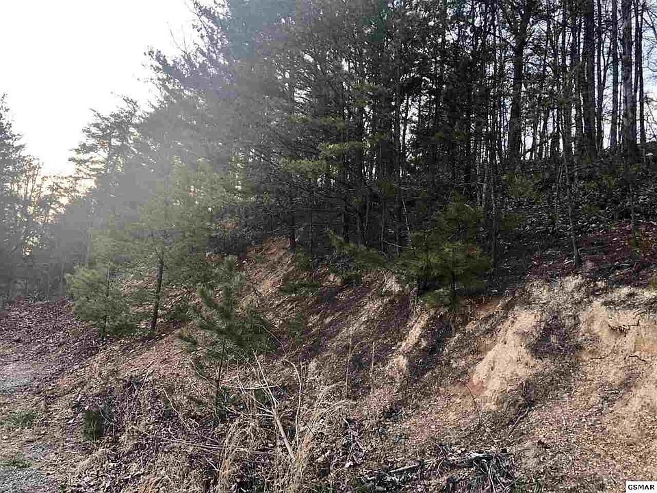 2nd image of 38 Settlers View Ln