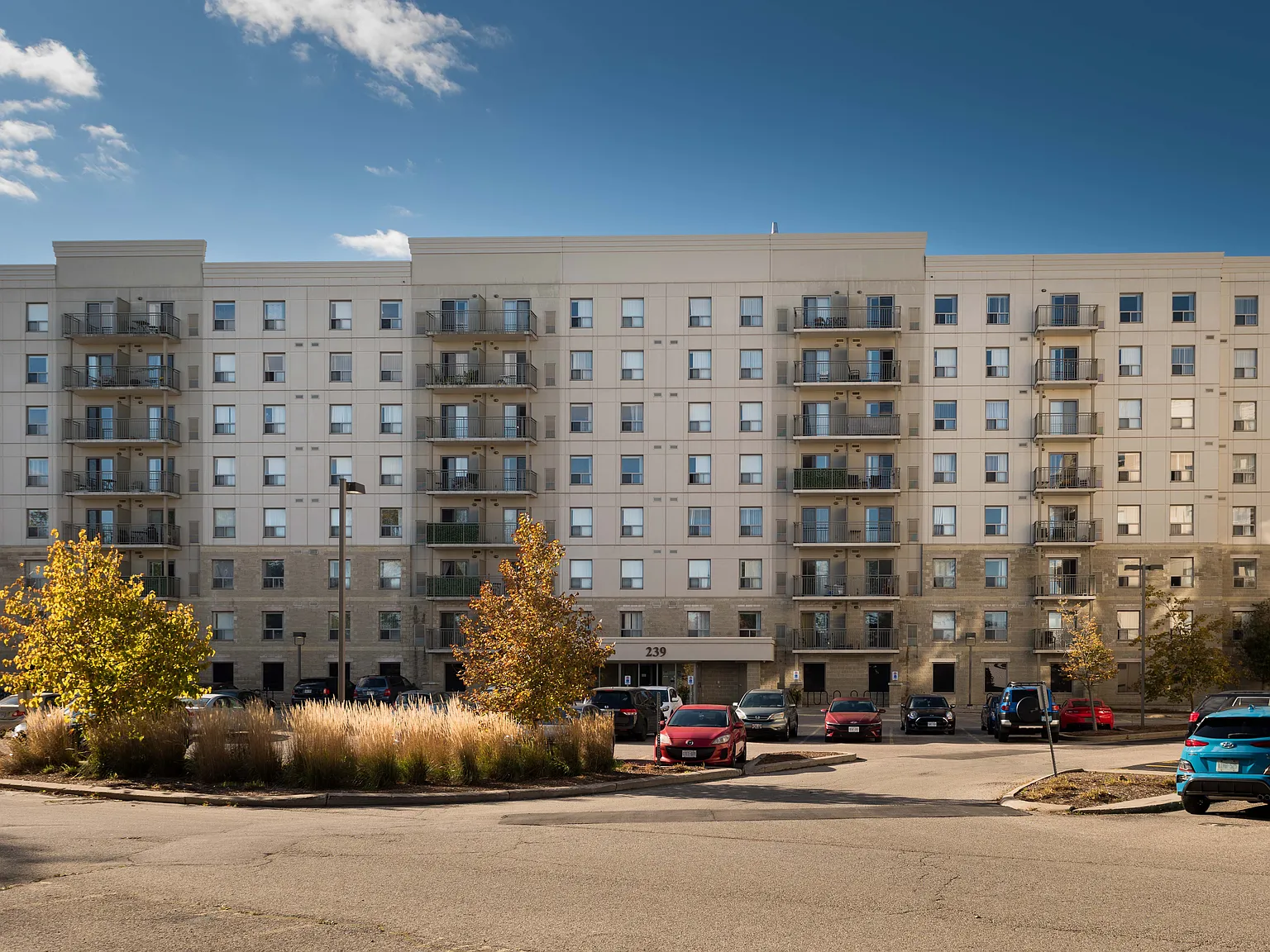 Auburn Terraces — Photo 2