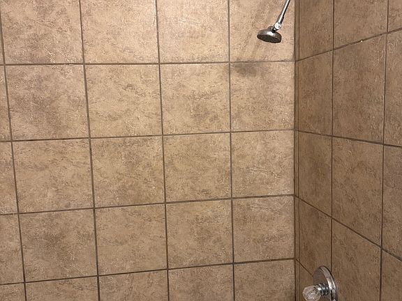 guest bathroom shower