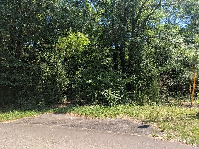 2nd image of 2510 Horseshoe Dr