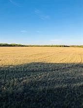 1st image of Fm 142