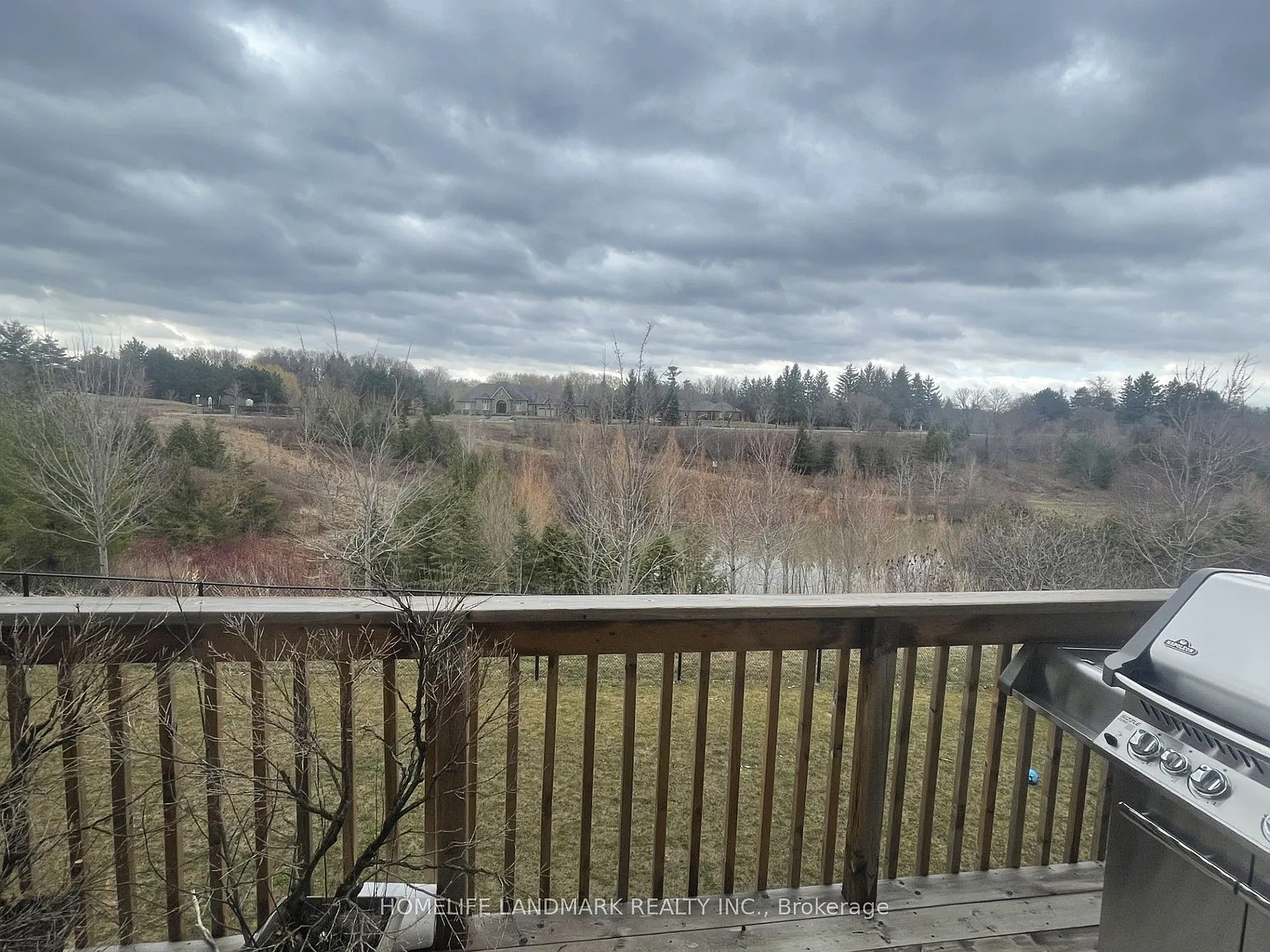 1 bed, $1,350 — Photo 3