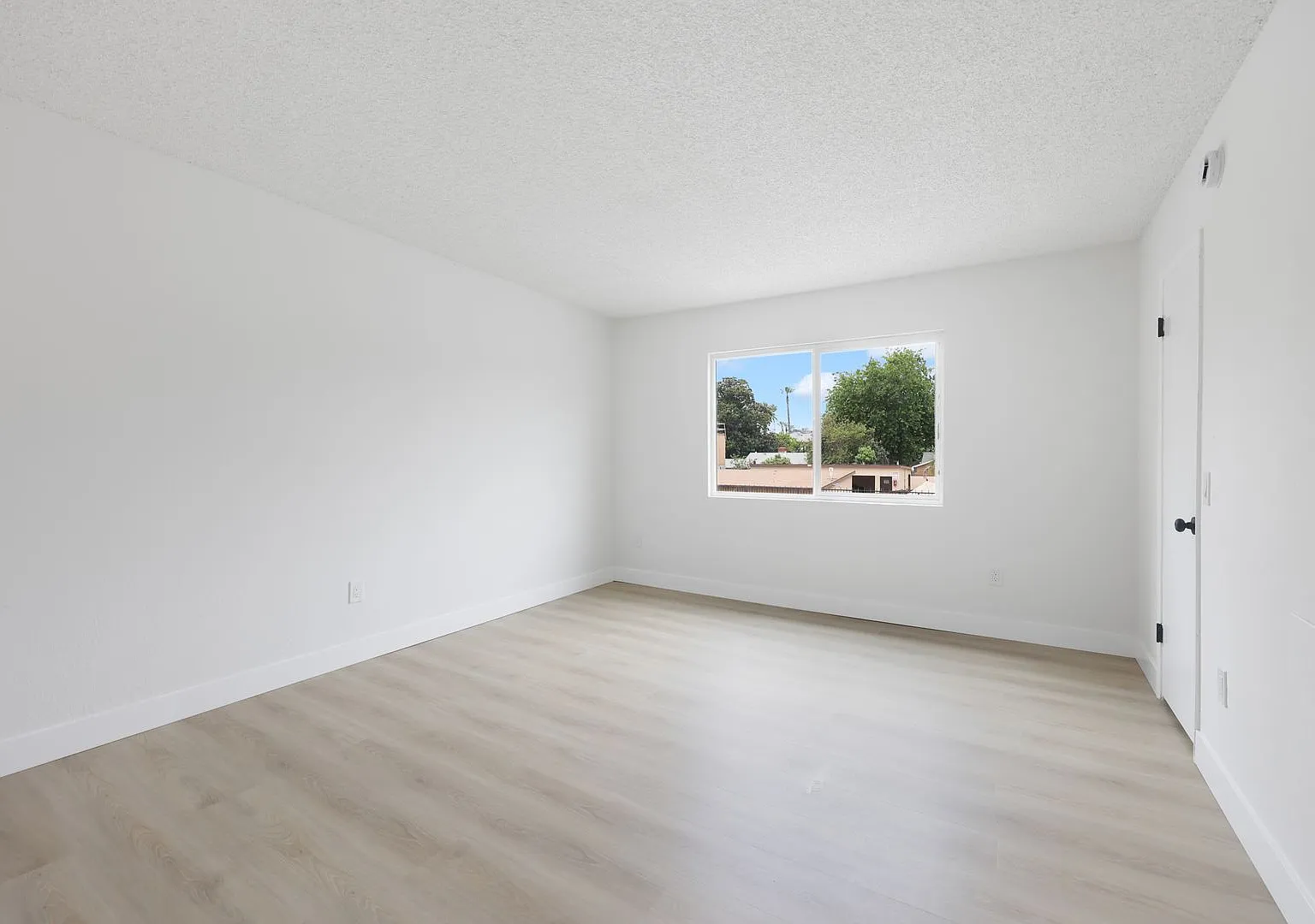 1 bed, 625 sqft, $1,595 — Photo 4