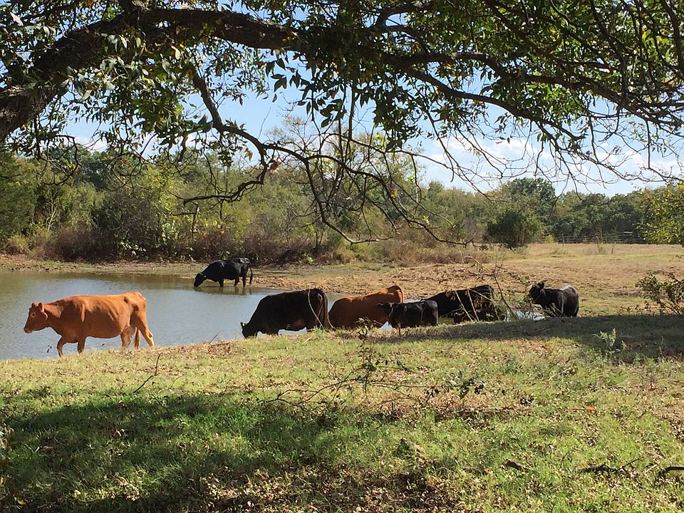 A Little Bit Country