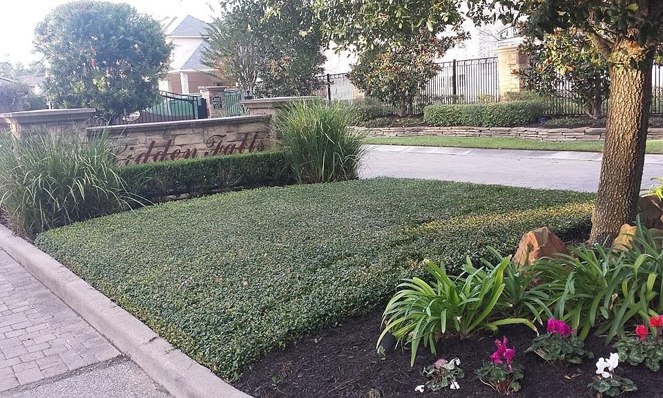 1st image of 15018 Cathedral Falls Dr