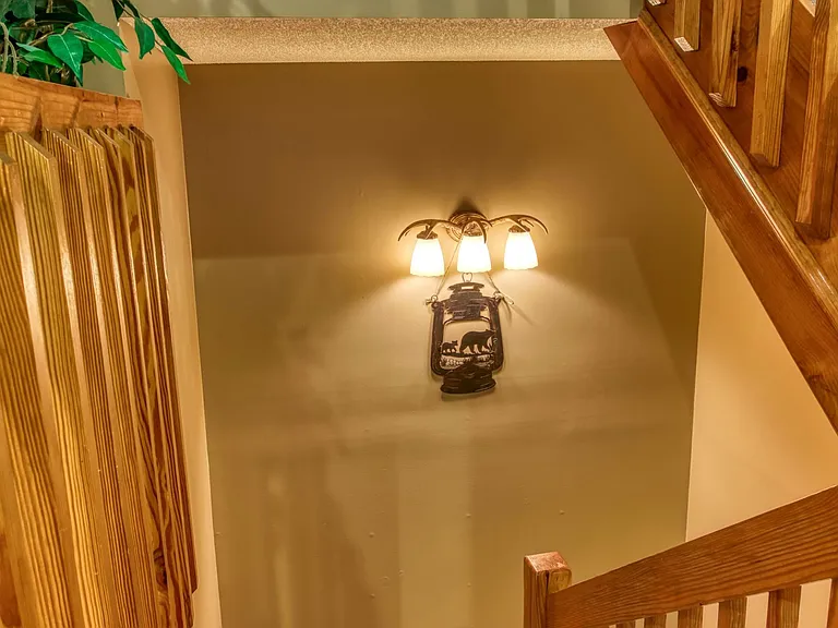905 Smoky Bears Way — Photo 44