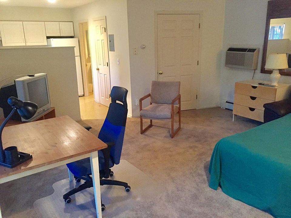 Combination living and sleeping area