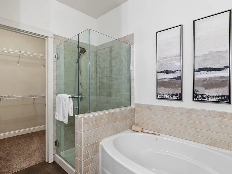 Master bathroom & walk-in closet (2nd floor)