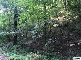 Raymond Hollow Rd, Sevierville, TN 37876