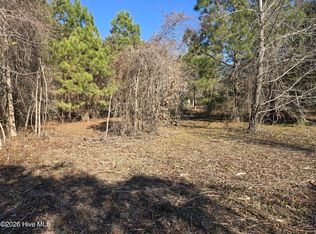 203 Moores Landing Ct, Hampstead, NC 28443