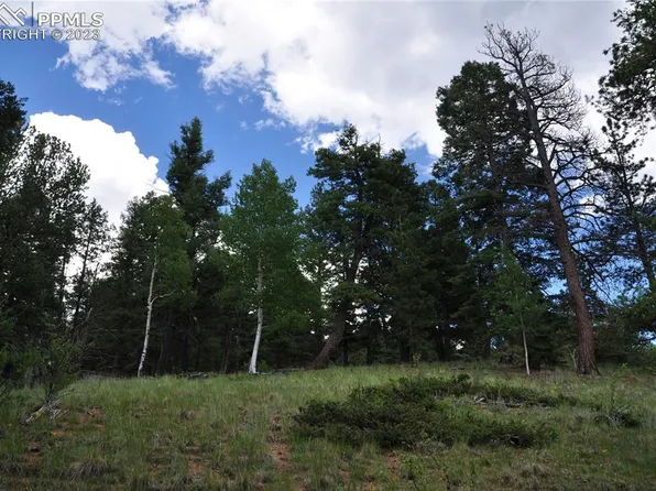266 Mariposa Dr, Cripple Creek, CO 80813