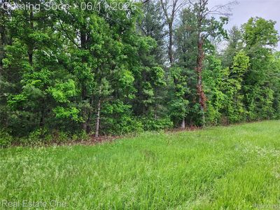 0 W Almy Rd, Howard City, MI, 49329