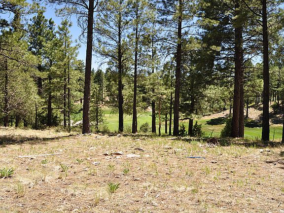 5th image of 3160 S Solitaires Canyon Drive #357