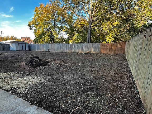 Backyard (we have recently planted new grass)