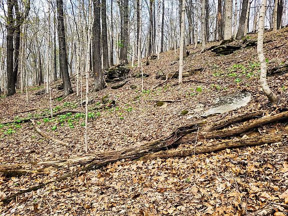 5th image of 7000 S County Road 1250 W