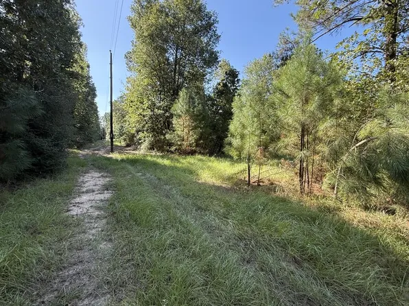 PARCEL 31432 County Road 3385, Lovelady, TX 75851