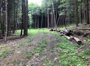 0 Bailey Creek Rd, Corning, NY 14830