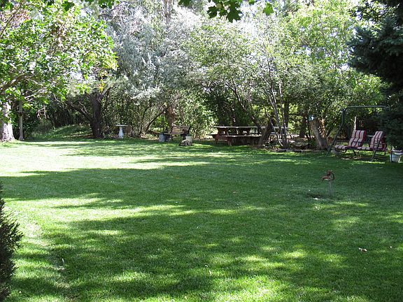 Backyard surrounded by trees