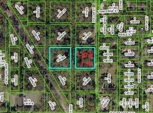 0 Zoller St, Brooksville, FL 34601