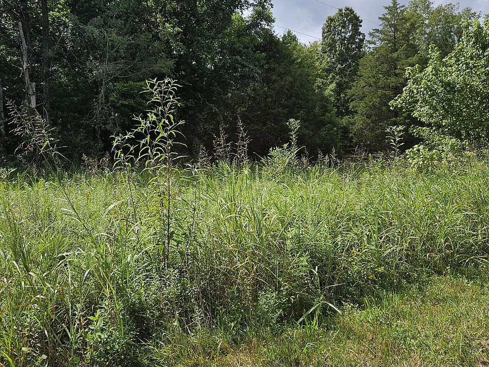 2nd image of 0 Back Piney Rd Lot 137