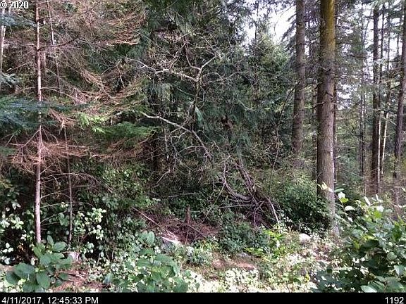 2nd image of 66 Lodgepole Ln