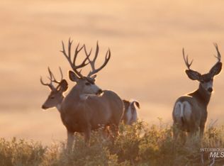 Monument Gulch Rd #320, Fairfield, ID 83327