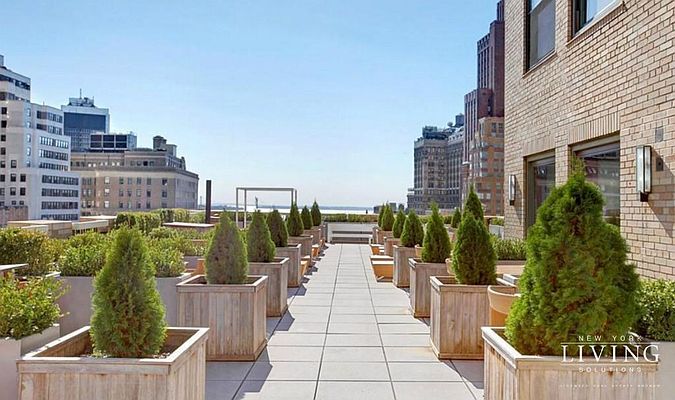 Rented by NY Living Solutions | $3,100