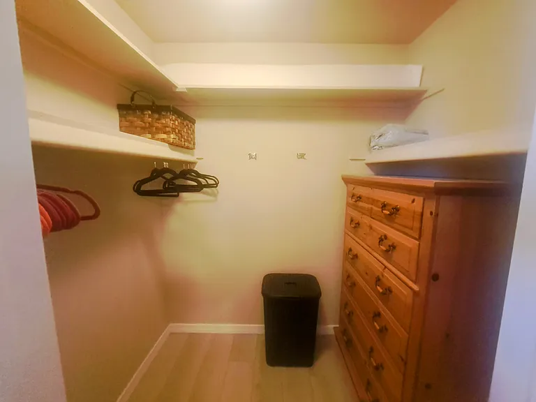 Master bedroom walk-in closet with another large dresser