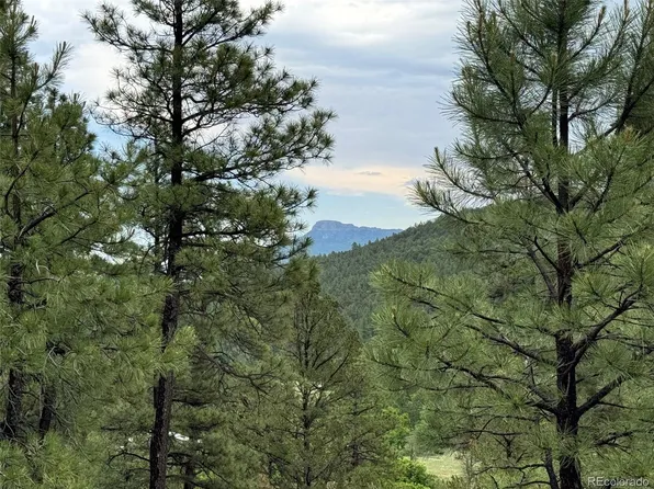 33280 Gallinas Parkway LOT D24, Trinidad, CO 81082