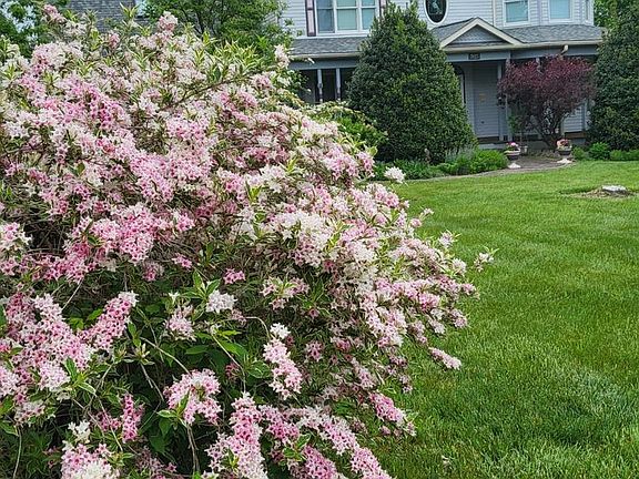 2nd image of 7825 Dam 4 Rd #4