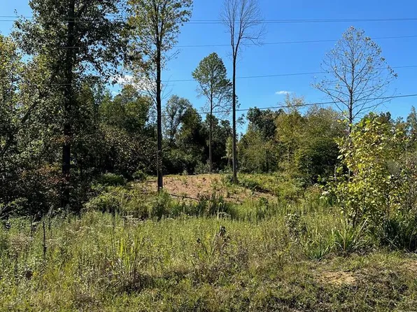 Flat Creek Rd, Madisonville, KY 42431