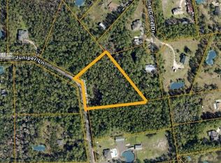402 Juniper Ln, Ormond Beach, FL 32174