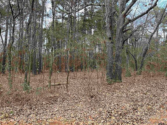 4th image of TRACT 3 Venus Rd