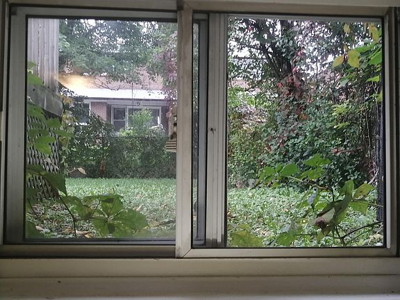 3rd image of 66 Green Bush Rd