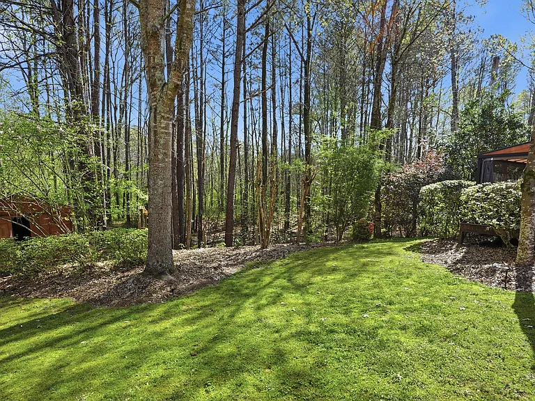 Large private backyard surrounded by mature trees and natural greenery