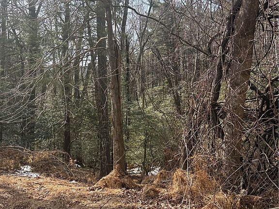 5th image of TBD Hollyknoll Rd. Lot #49 & 50