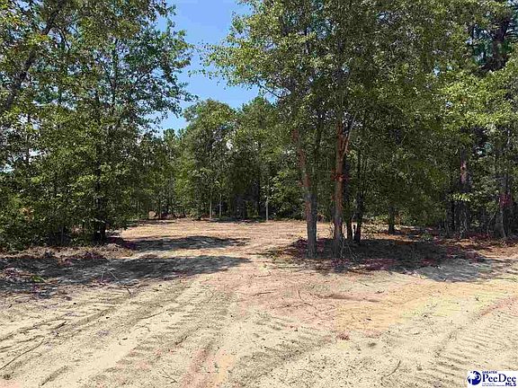 2nd image of 3 Patrick Hwy