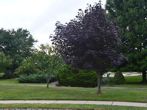 4th image of 15 Colwyn Way