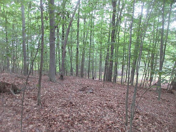 4th image of Chesley Hill Road #4-3
