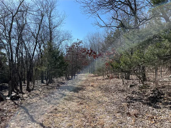 0 County Road 349a, Piedmont, MO 63957