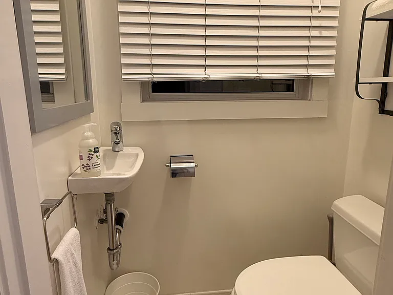 Separate Toilet Room