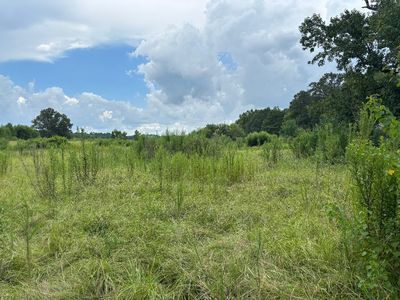 153 Lesim Ln, Jennings, LA, 70546